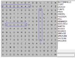 Word Search