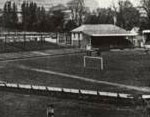 Grounds