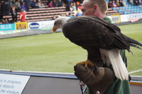 Palace 1 v Preston 0