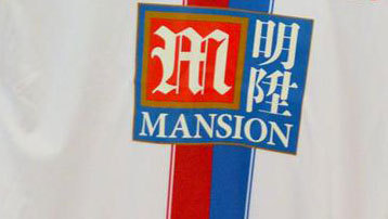 Mansion Group