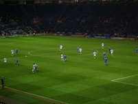 S8002337.JPG