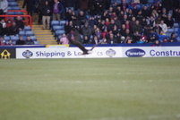 palace v preston 007.jpg