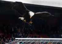 DSC_1524.jpg