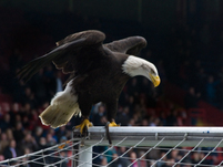 DSC_1525.jpg