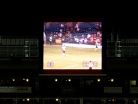 Giant Palace TV screen showing the game