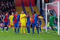 Palace V Cardiff (Pitch Action) Dec 2013.jpg