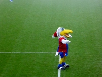 Chelsea_H2.JPG