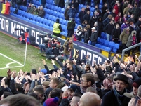 Chelsea_H4.JPG