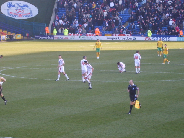 S8002303.JPG