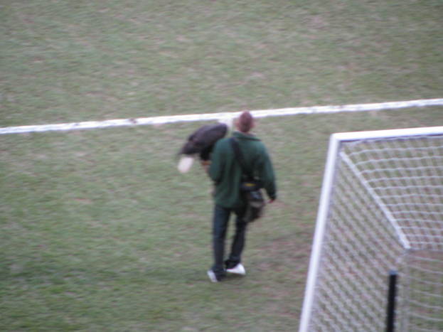 Palace vs Preston 015.jpg