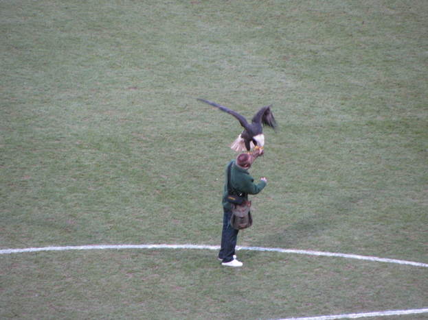 Palace vs Preston 018.jpg