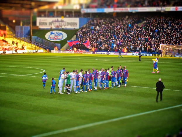 Palace V Leeds (Jan 2012) 1.jpg