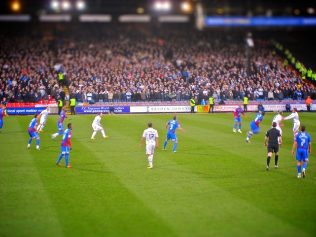 Palace V Leeds (Jan 2012) 3.jpg