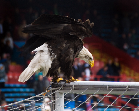 DSC_1512.jpg