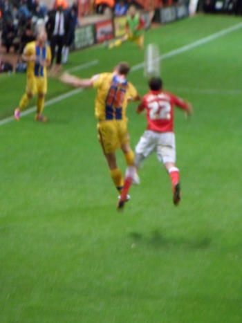 SAM_2408.JPG