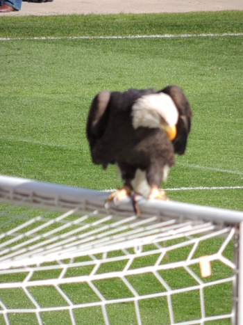 DSCN0091.JPG
