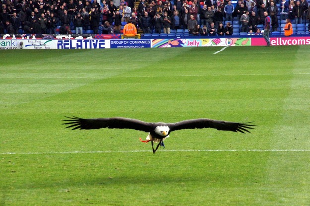 Palace V Millwall 021.jpg
