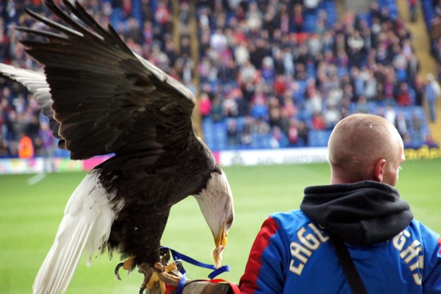 Palace V Millwall 024.jpg