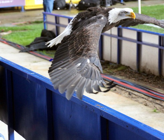 Palace V Millwall 059.jpg