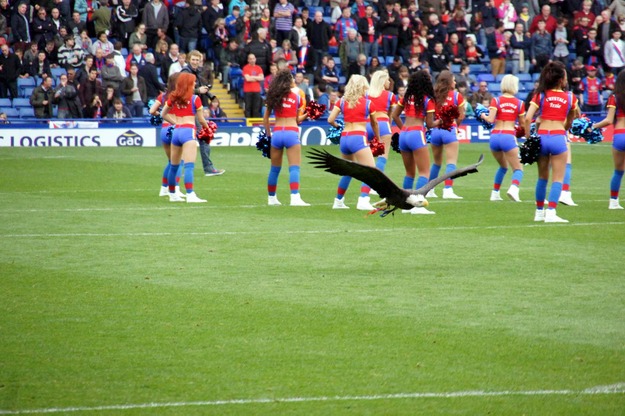 Palace V Millwall 099.jpg