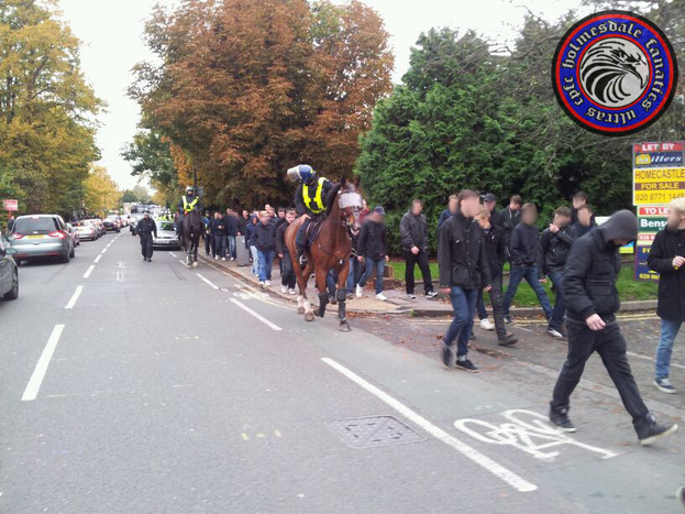 Palace Ultras holmesdale fanatics