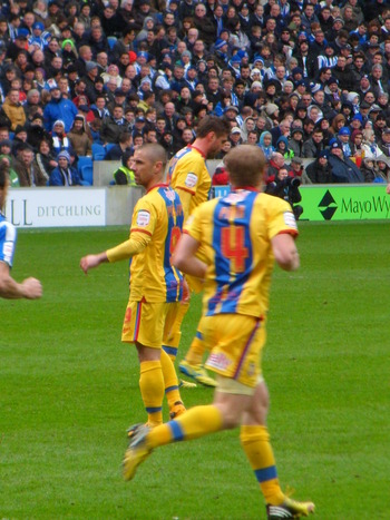 SAM_3480.JPG