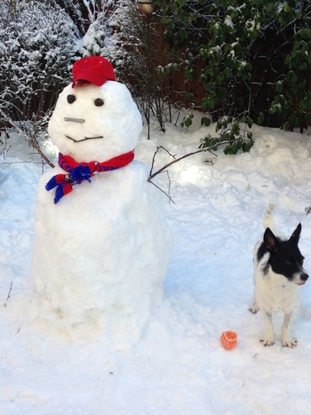 CPFC snowman from a fan in Hoboken, New Jersey, USA