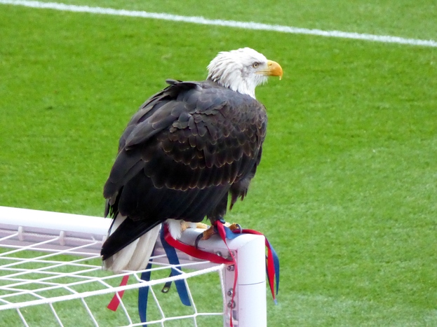 ManCity_H3.JPG