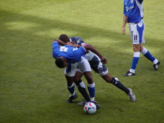 Picture 011.jpg