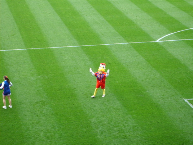 S5000024.JPG