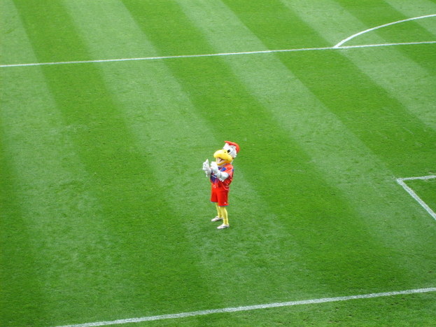S5000026.JPG