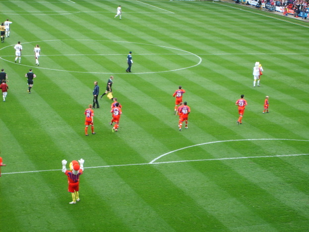 S5000035.JPG