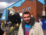 hemel eagle
