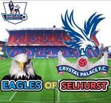 Eagles of Selhurst