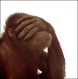 davenotamonkey